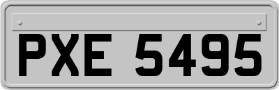 PXE5495