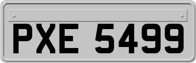 PXE5499