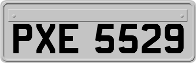 PXE5529