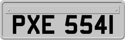 PXE5541