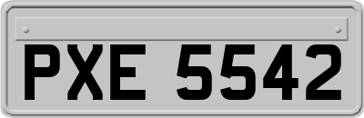 PXE5542