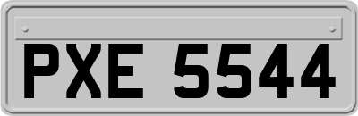 PXE5544