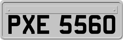 PXE5560