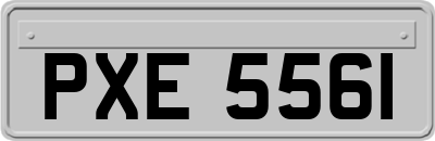 PXE5561