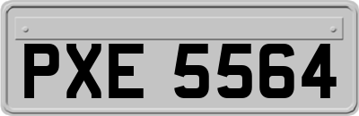 PXE5564