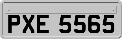 PXE5565