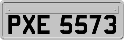 PXE5573