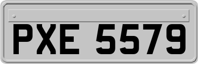 PXE5579