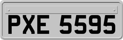 PXE5595