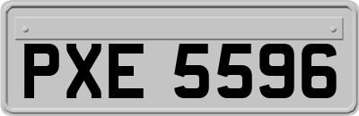 PXE5596