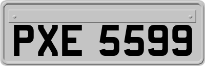 PXE5599