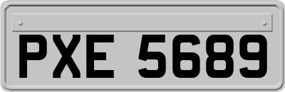 PXE5689