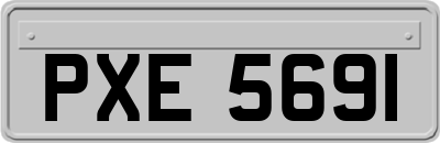 PXE5691