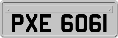 PXE6061