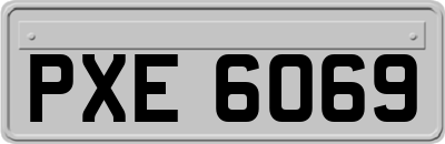 PXE6069