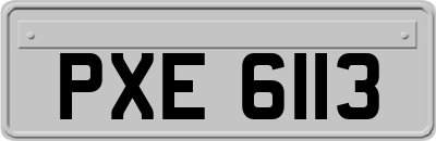 PXE6113