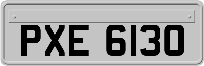 PXE6130
