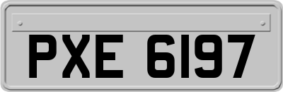 PXE6197