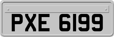 PXE6199