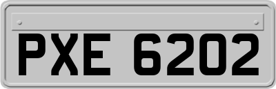 PXE6202