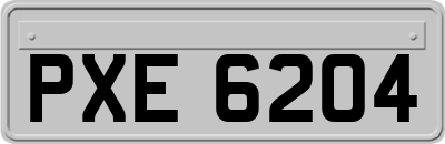 PXE6204