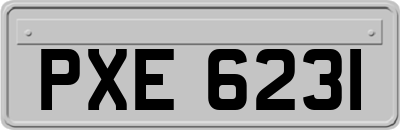 PXE6231