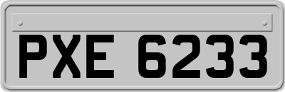 PXE6233