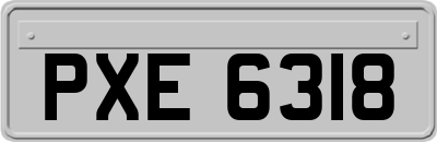 PXE6318