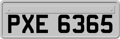 PXE6365