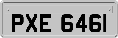 PXE6461