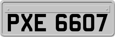 PXE6607