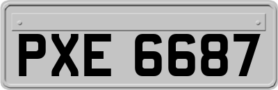 PXE6687