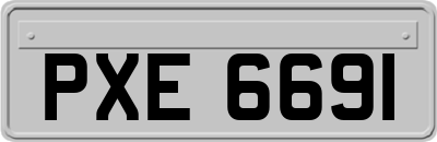 PXE6691