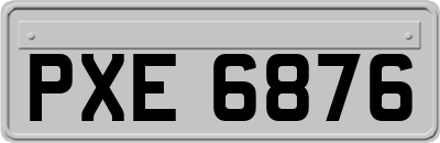 PXE6876