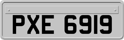 PXE6919