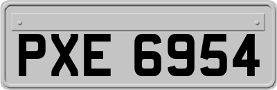 PXE6954