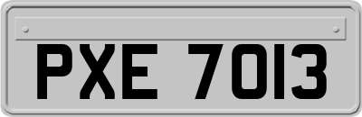 PXE7013