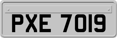 PXE7019