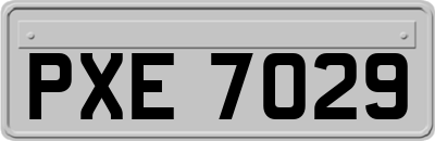 PXE7029