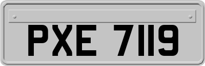 PXE7119