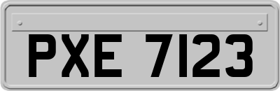 PXE7123