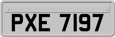 PXE7197
