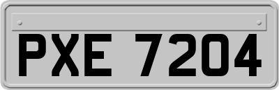 PXE7204