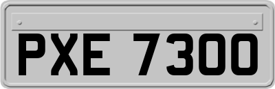 PXE7300