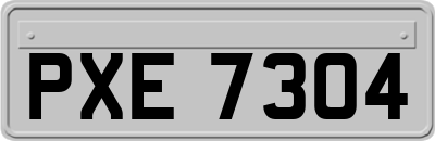 PXE7304