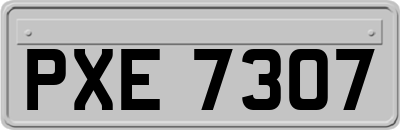 PXE7307