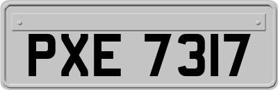 PXE7317