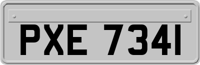 PXE7341