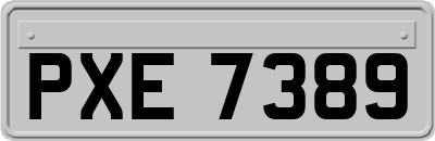 PXE7389