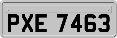 PXE7463